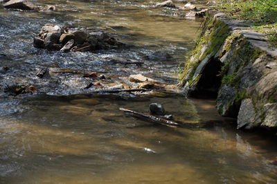 High angle view of stream along rocks