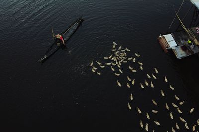 High angle view of people on boat in sea, feed the duck on the boat