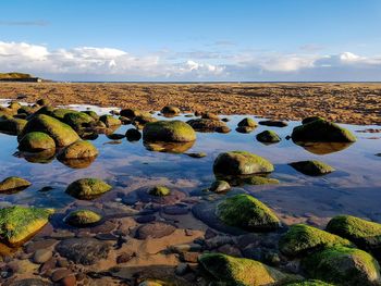 Scenic view of beach against sky