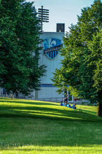 Trees in park with city in background