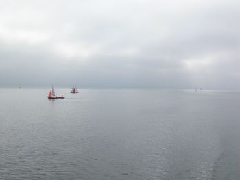 Sailboat sailing on sea against sky