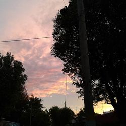 Low angle view of trees against cloudy sky