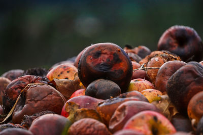 Close-up of blueberries