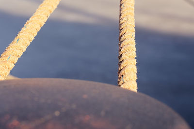 Close-up of rope tied up on pole