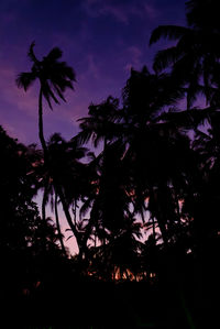 Low angle view of silhouette trees against sky at sunset