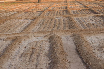 High angle view of tire tracks on sand