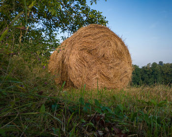 Hay bales on field against sky