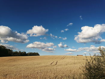 Scenic view of agricultural field against blue sky