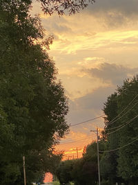 Low angle view of trees against sky during sunset