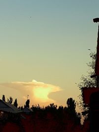 Silhouette trees against sky during sunset