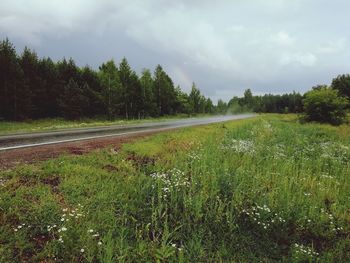 Scenic view of field against sky