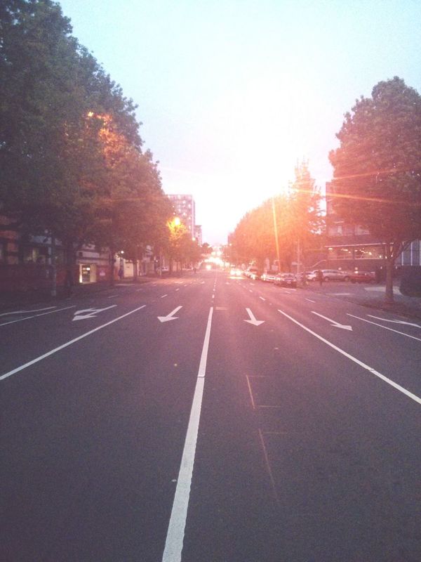 Streets of Auckland. · evening Road street lights no traffic Urban nature city life on the move