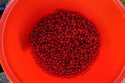 High angle view of raspberries in bowl