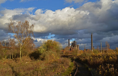 Road amidst plants against sky