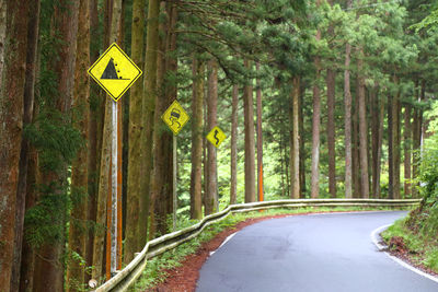 Road sign amidst trees in forest