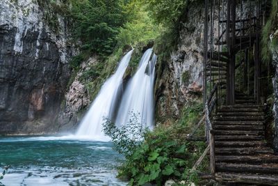 View of waterfall in forest