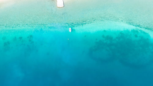 High angle view of person swimming in pool