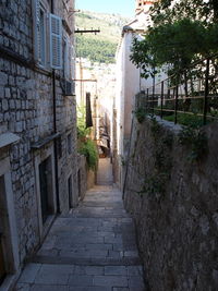 Walkway amidst trees against sky