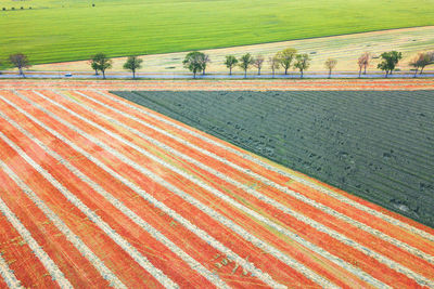 High angle view of agricultural field