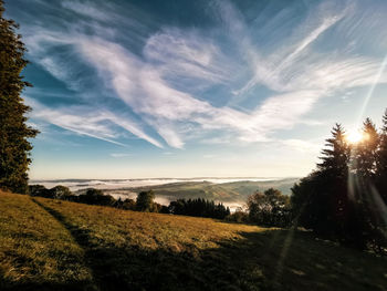 Scenic view of field against sky during sunset