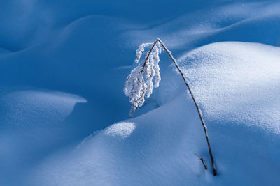 Close-up of snow