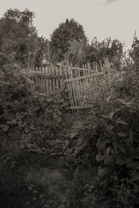 Scenic view of farm against sky