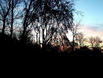 Bare trees against sky at sunset