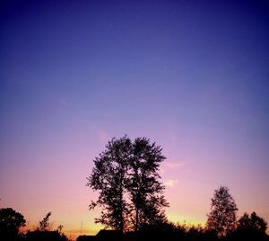 Low angle view of silhouette trees against sky at sunset