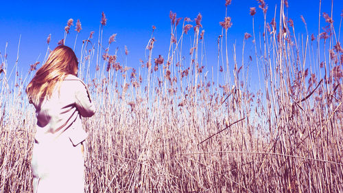 Rear view of woman standing against blue sky