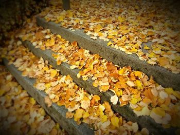 Stones on ground