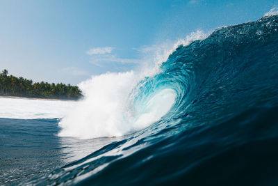 Powerful wave breaking on a beach with palm trees