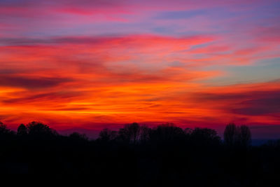 Silhouette trees against dramatic sky during sunset