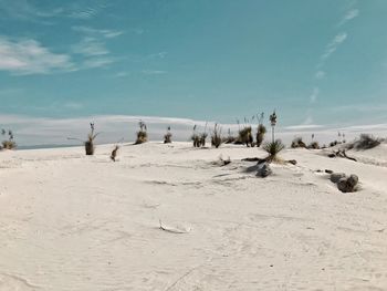 Panoramic view of people on beach against sky