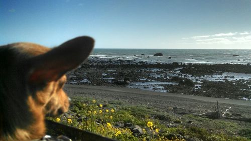 View of sea against sky