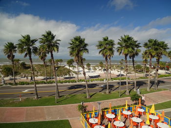 High angle view of palm trees by swimming pool