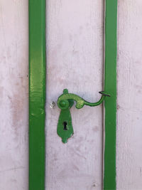 Close-up of lizard on wall