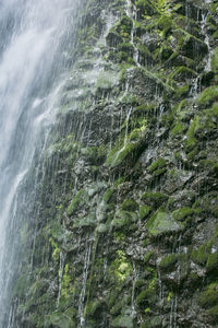 Close-up of water flowing through rocks