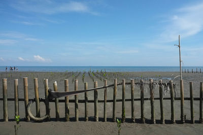 Wooden posts on calm beach against blue sky