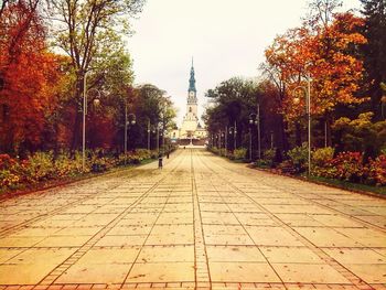 Walkway in park