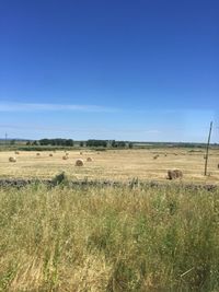 Scenic view of field against clear blue sky