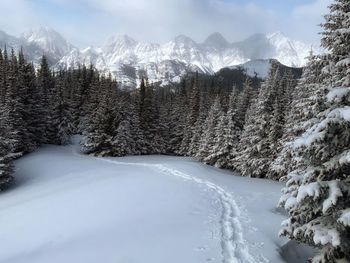 Panoramic view of snow covered mountains against sky