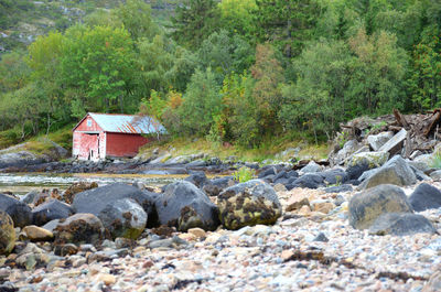 Old red cabin by the coast at trondheim fjord