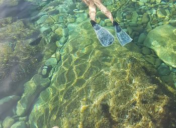 High angle view of swimming in sea