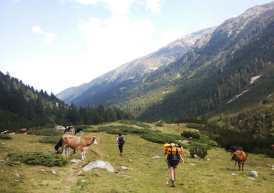 Trip in pirin mountain, bulgaria