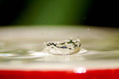 Close-up of drop falling in water