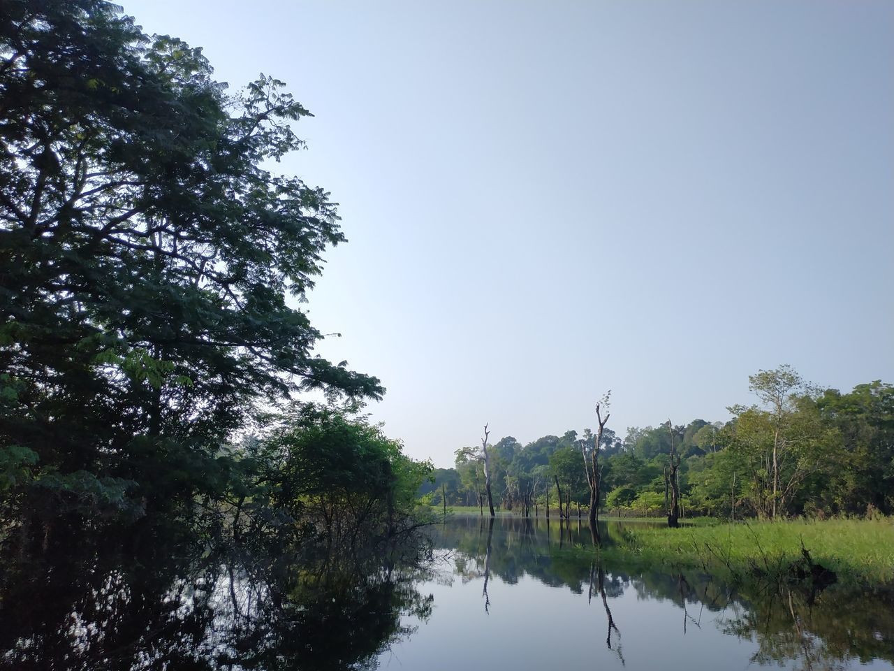 SCENIC VIEW OF LAKE BY TREES AGAINST SKY