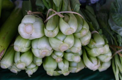 Bunch of vegetables in the retail store 