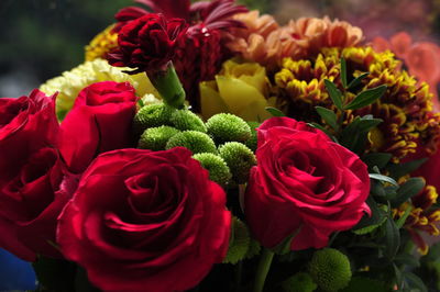 Close-up of red roses