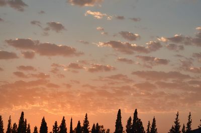 Low angle view of silhouette trees against sky during sunset