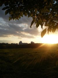 Scenic view of field against sky during sunset